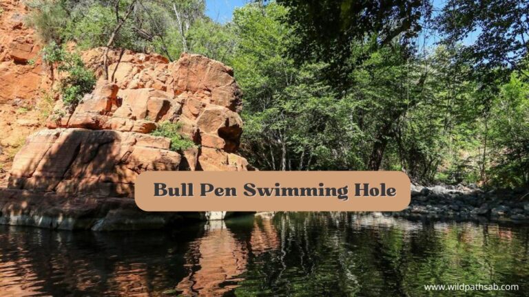 bull pen