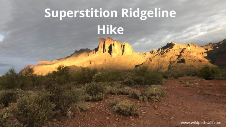 Superstition Ridgeline Hike